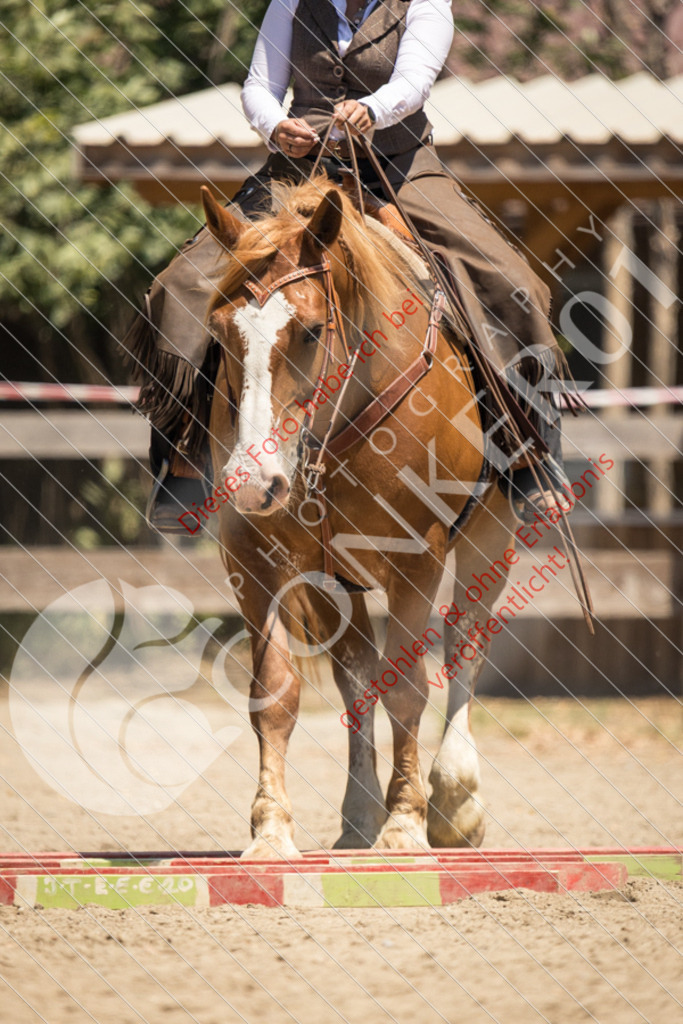 IMG_0365 | Sport-, Event- und Tierfotos in Profiqualität. Einfach auswählen, bestellen und herunterladen. Dein Moment – perfekt festgehalten.