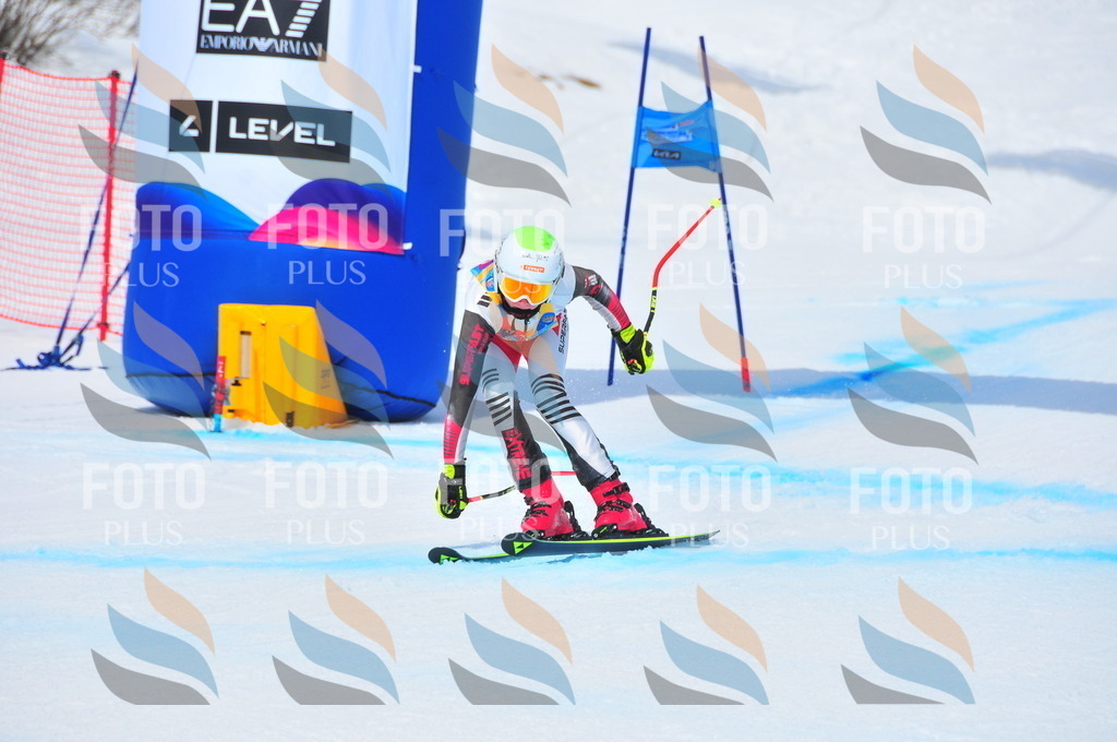 DSC_6628 | holidayphoto