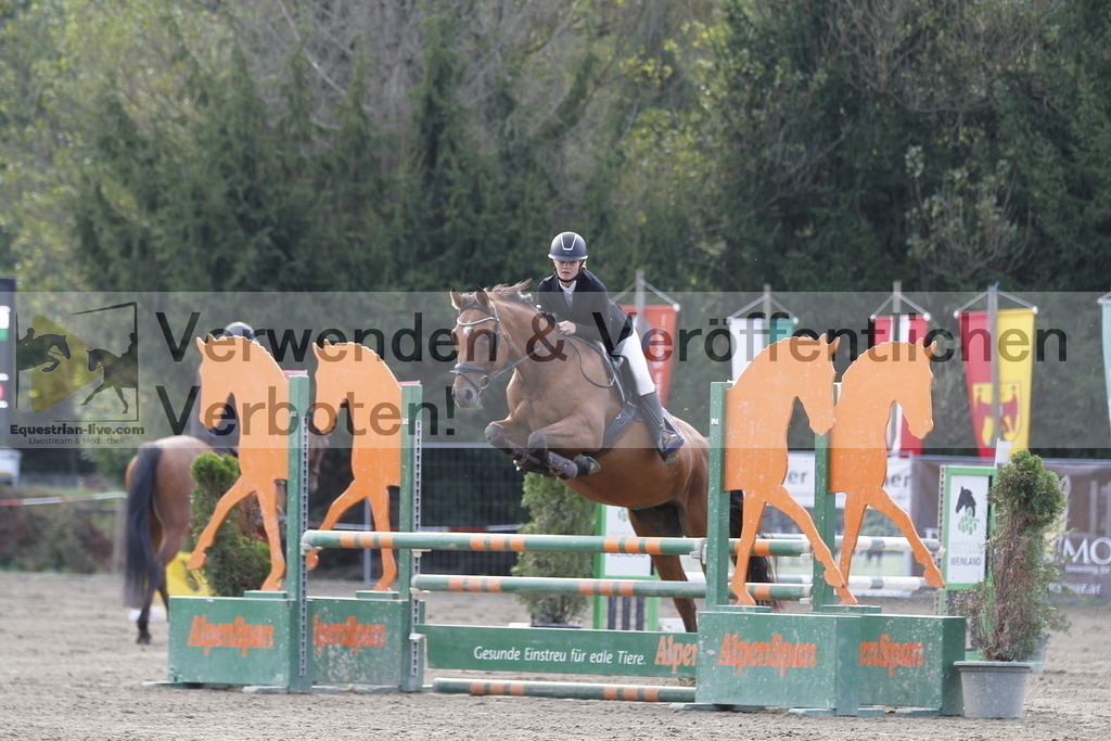 _MG_1326 | equestrian-live-com