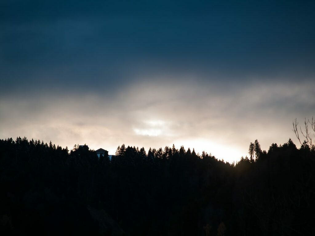 PSX_20221123_225324 | mtkfoto_ - Realisiert mit Pictrs.com