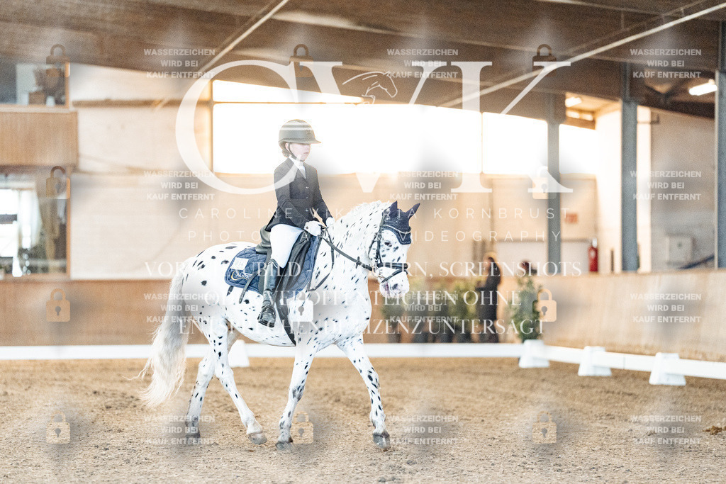 CK906370 | Turnierfotografie Pferdefotografie Trier Rheinland-Pfalz Pferdesport Reitsport Tierfotografie Sportfotografie Pferdevideo Pferdevideografie Equestrianvideography equestrianphotography  - Realisiert mit Pictrs.com