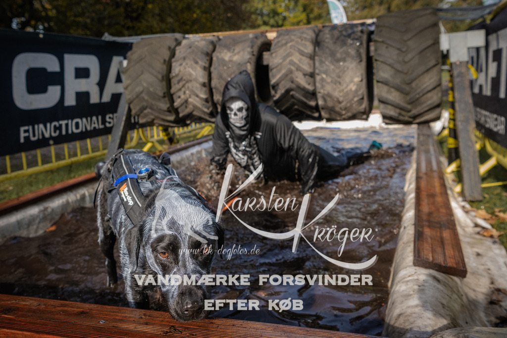 1406_ZZ94006 | kk-dogfotos