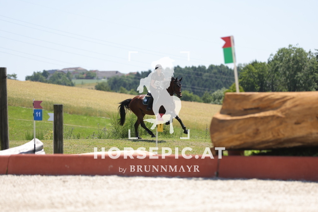 0P6A4242 | Willkommen bei Brunnmayr - Design & Fotografie – Ihrem Spezialisten für Reitturniere und Pferdeveranstaltungen in Oberösterreich, Salzburg und Bayern! Seit über 17 Jahren sind wir leidenschaftlich dabei.