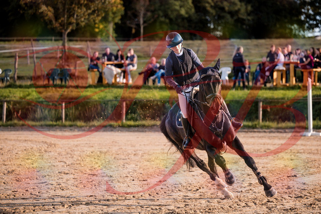 2026_10_03_Siefer-Hof_171605_Z81_14349059 | Professionelle Reitsport-, Turnier- und Eventfotografie von Robert Broda. Galerien mit ausgewählten und bearbeiteten Bildern direkt online ansehen und bestellen.