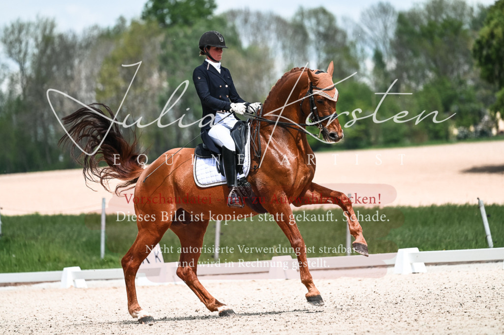 20230514_JK-Röhrsdorf-21-045 | Pferde- und Turnierfotografie in Westsachsen. Pferdeportraits, Auftragszeichnungen und intuitive Kunst.