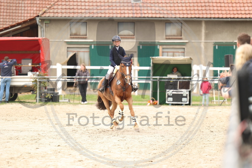 994A8989 | sabrinanicolaifotografie - Realisiert mit Pictrs.com