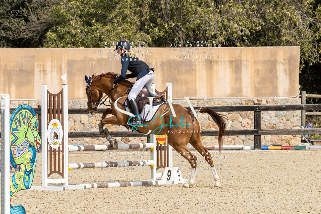 IMG_3183 | s-jay-photography - Realisiert mit Pictrs.com