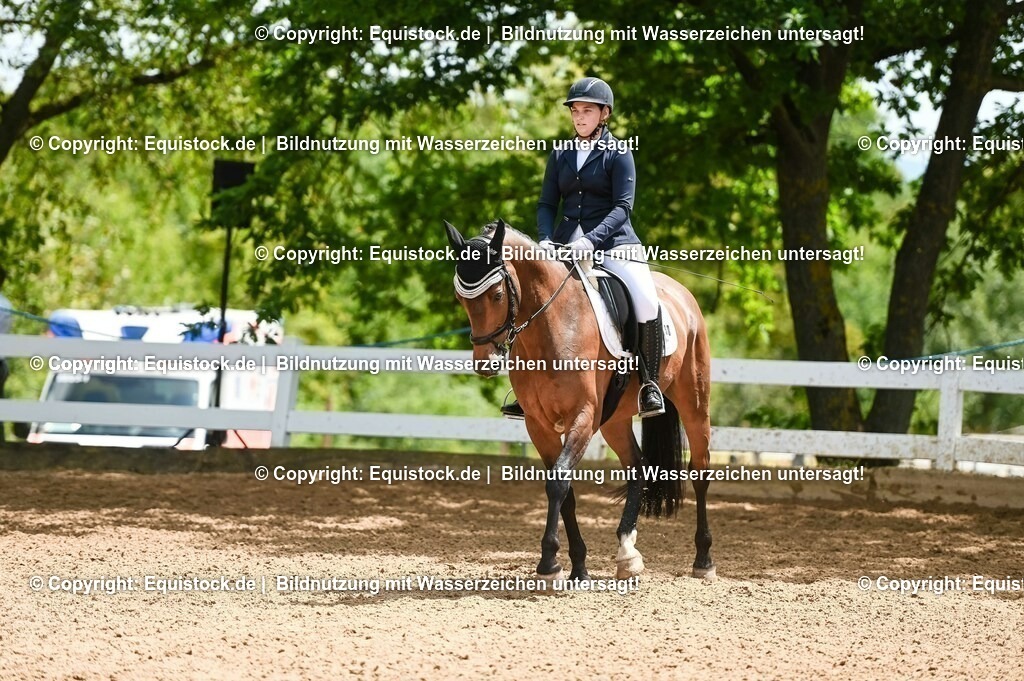20230716_03_Dressurprfg. Kl.L - Tr._0691 | equistock