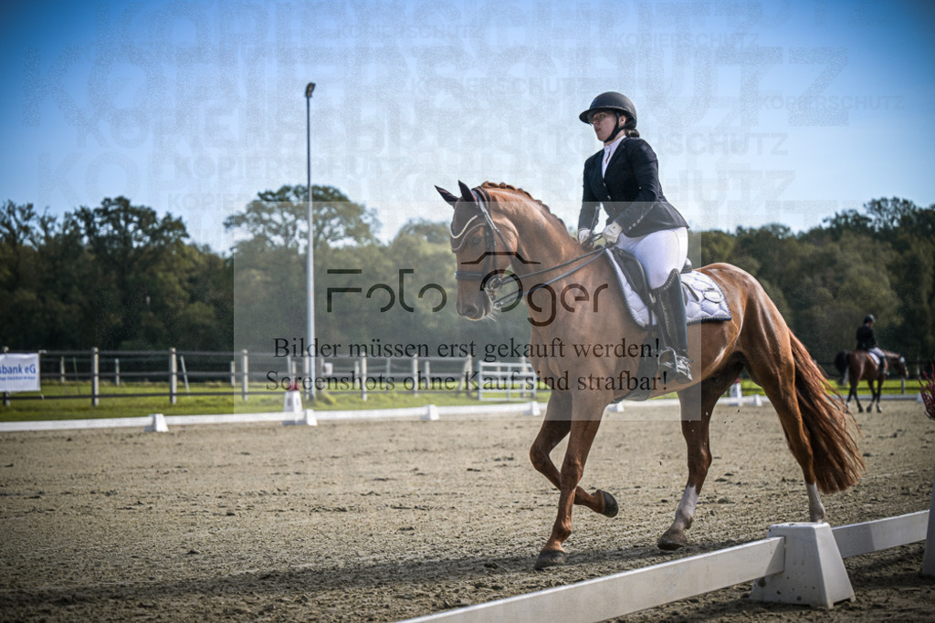 DOS_1117 | Entdecke hochwertige Reitturnierfotos von Foto Oger. Professionell, emotional und authentisch – jetzt Lieblingsmomente im Shop bestellen.Deutschlandweite Turnierfotografie. - Realisiert mit Pictrs.com