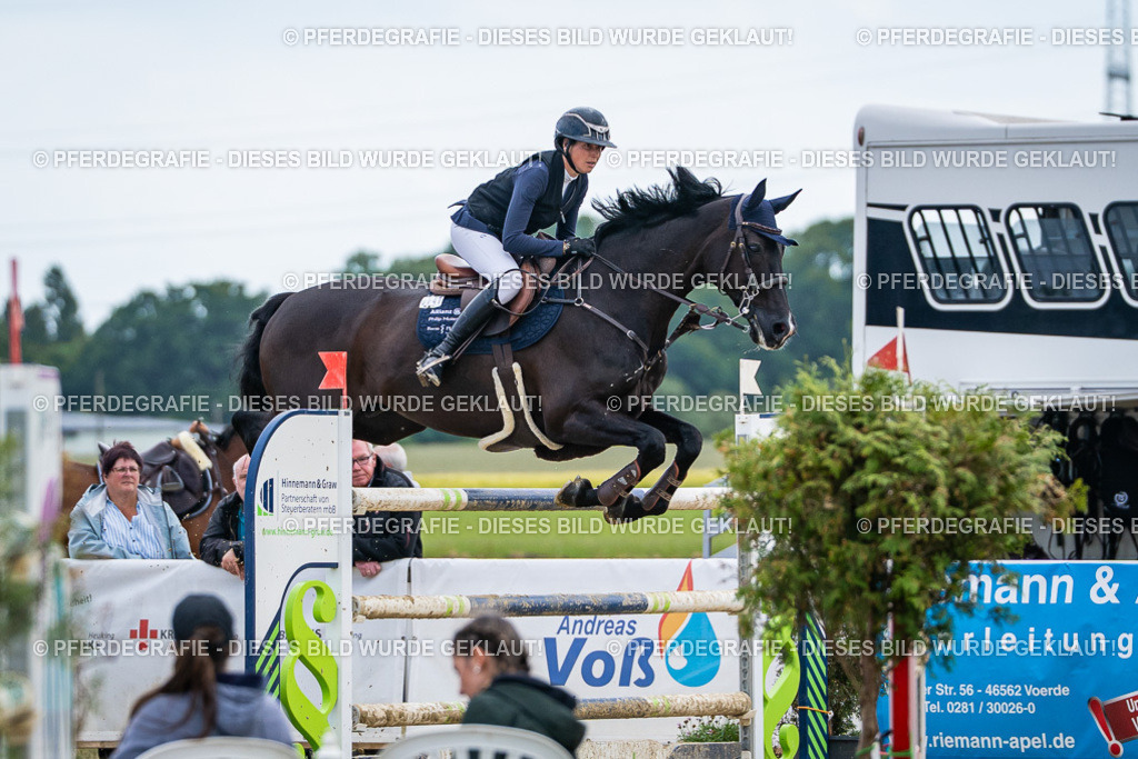 DSC06817 | Pferdegrafie