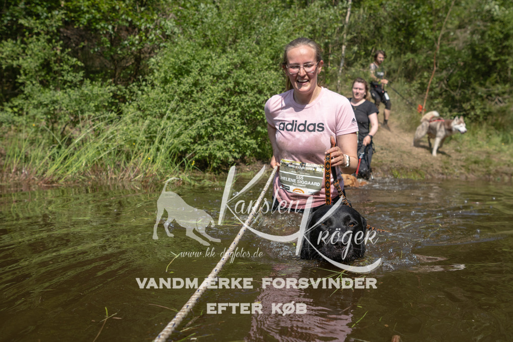 1035DKK991010 | kk-dogfotos