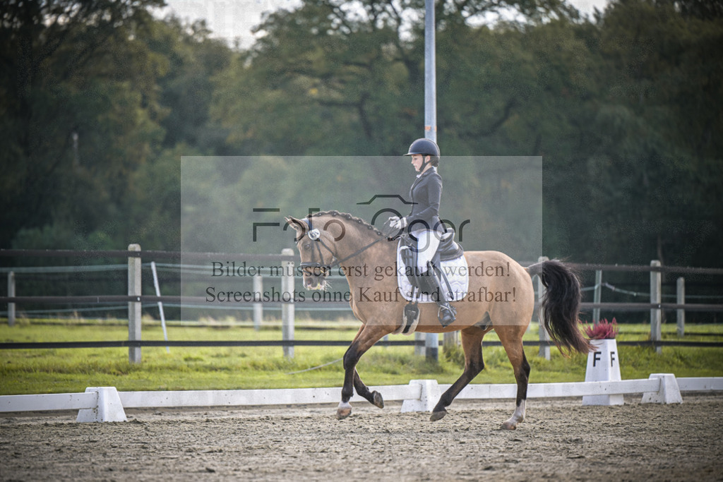 DOS_4511 | Entdecke hochwertige Reitturnierfotos von Foto Oger. Professionell, emotional und authentisch – jetzt Lieblingsmomente im Shop bestellen.Deutschlandweite Turnierfotografie. - Realisiert mit Pictrs.com
