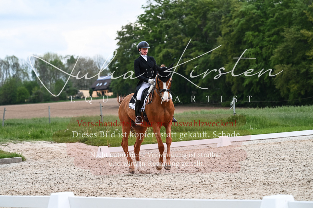20230513_JK-Röhrsdorf-13-563 | Pferde- und Turnierfotografie in Westsachsen. Pferdeportraits, Auftragszeichnungen und intuitive Kunst.