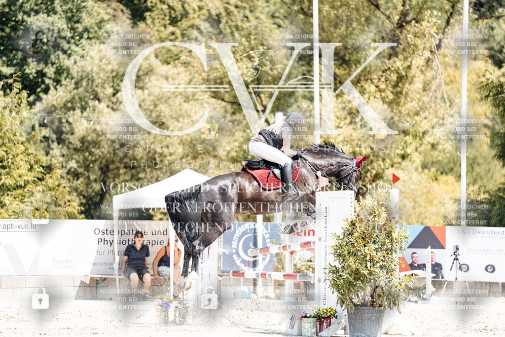 CK900644 | Turnierfotografie Pferdefotografie Trier Rheinland-Pfalz Pferdesport Reitsport Tierfotografie Sportfotografie Pferdevideo Pferdevideografie Equestrianvideography equestrianphotography  - Realisiert mit Pictrs.com