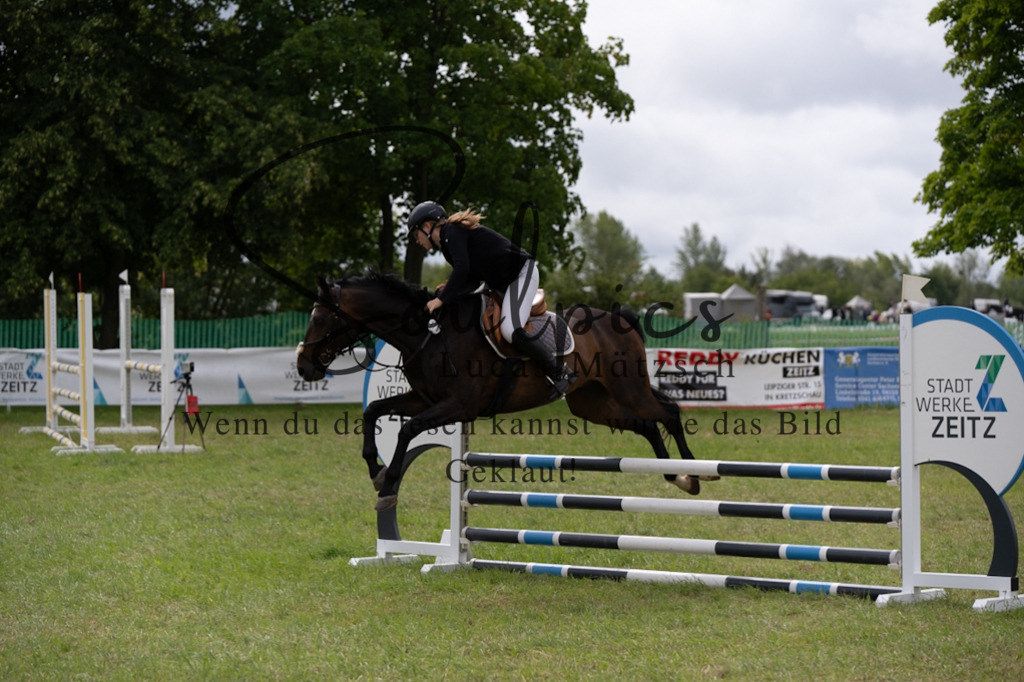 A7V05448 | Pferdefotograf