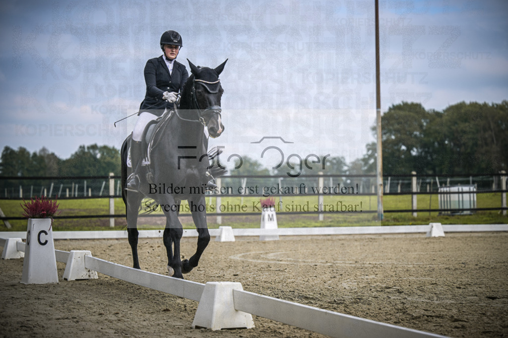 DOS_B555 | Entdecke hochwertige Reitturnierfotos von Foto Oger. Professionell, emotional und authentisch – jetzt Lieblingsmomente im Shop bestellen.Deutschlandweite Turnierfotografie. - Realisiert mit Pictrs.com