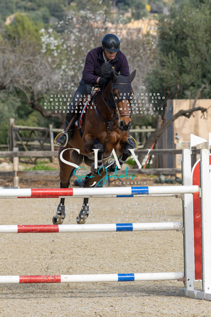 IMG_4618 | s-jay-photography - Realisiert mit Pictrs.com