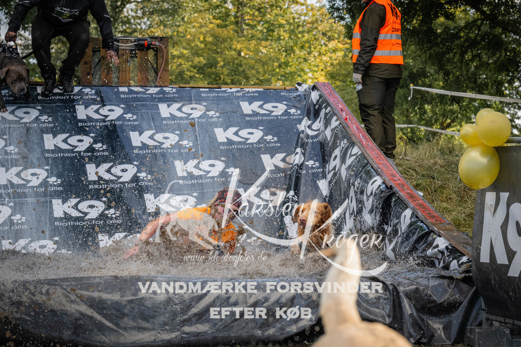 1555_ZZ91259 | kk-dogfotos