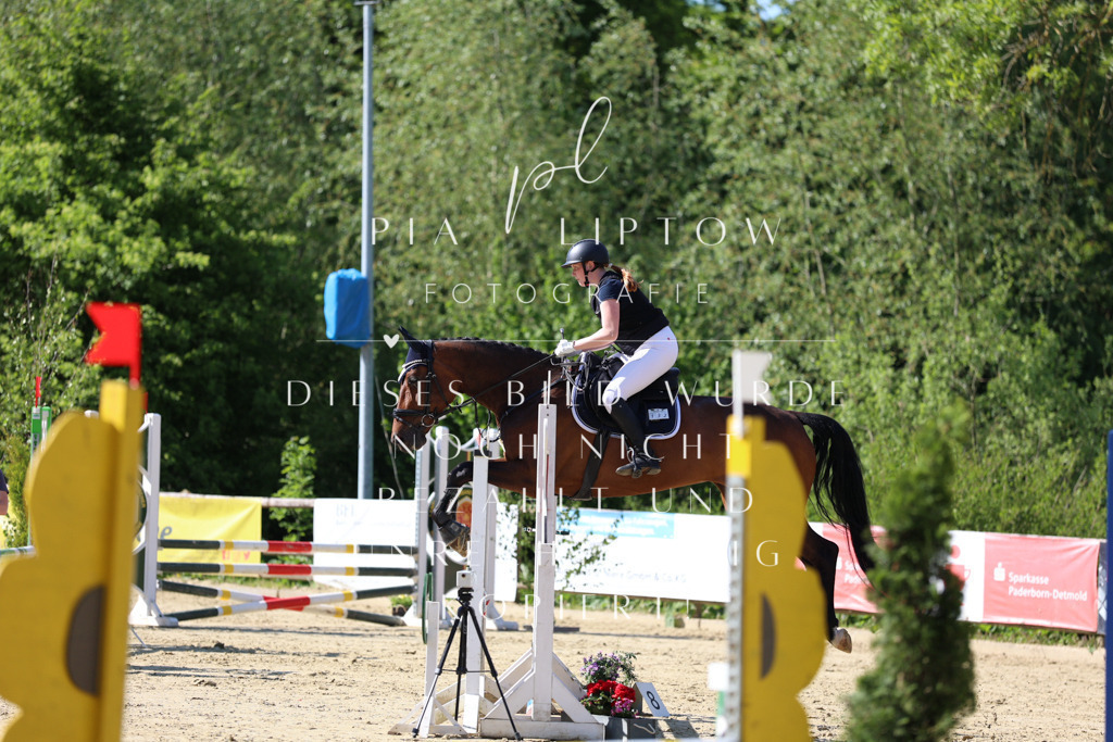 IMGS4919 | pl-fotografie