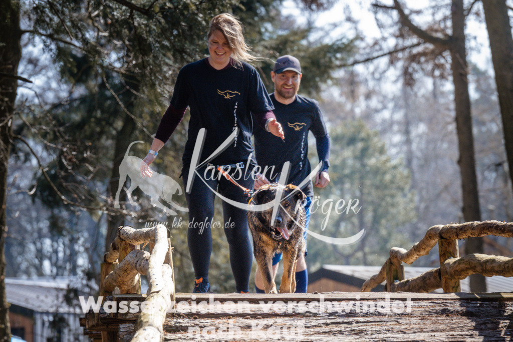 1312_ZZ94668 | kk-dogfotos