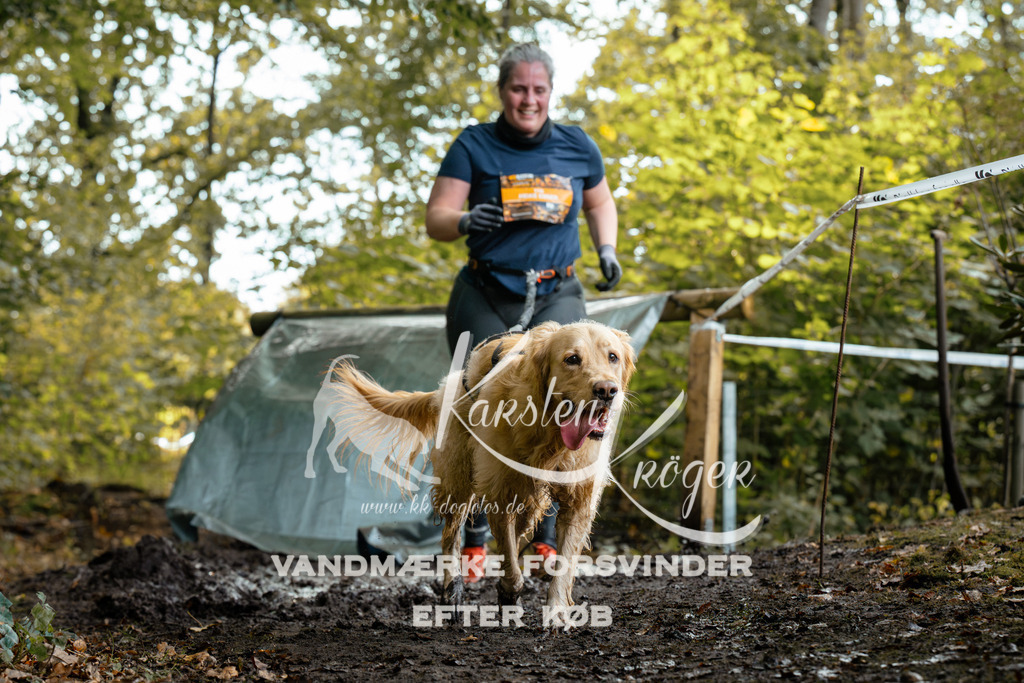 1417DZ6_1495Z6 | kk-dogfotos