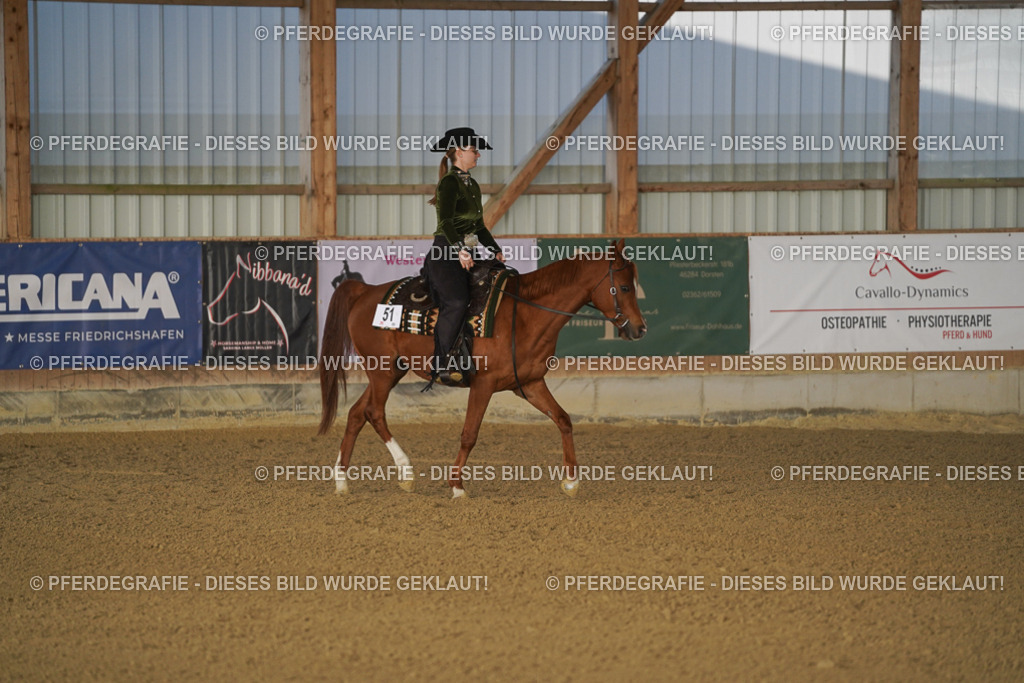 DSC08473 | Pferdegrafie