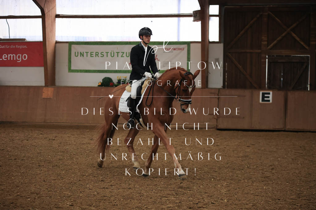 IMGT6903 | pl-fotografie