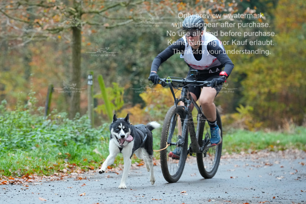 Bike_So-60 | stephaniefillaphotographie - Realisiert mit Pictrs.com