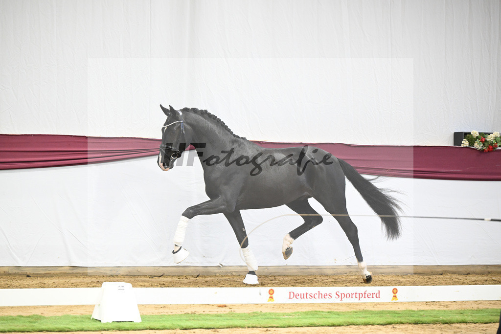 Kat-Nr. 50 Energy x Sezuan_Wilhelm u. Marvin Klausing GbR_47251860 | hf-fotografie - Realisiert mit Pictrs.com