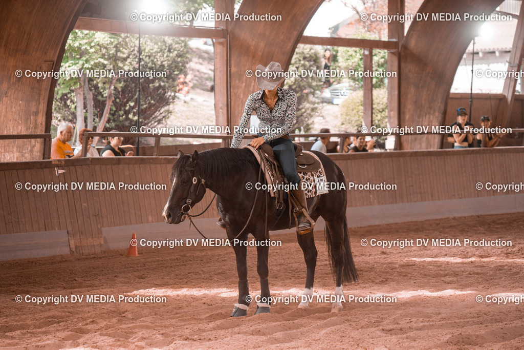 NE300748 | dv-media-shop - Realisiert mit Pictrs.com