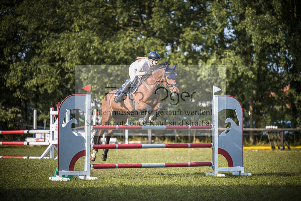 DOS_1477 | Entdecke hochwertige Reitturnierfotos von Foto Oger. Professionell, emotional und authentisch – jetzt Lieblingsmomente im Shop bestellen. - Realisiert mit Pictrs.com