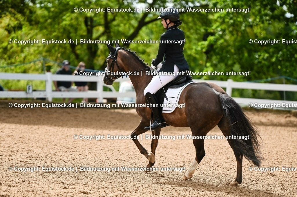 20230716_10-1_Reiter-WB Schritt - Trab - Galopp_0179 | equistock