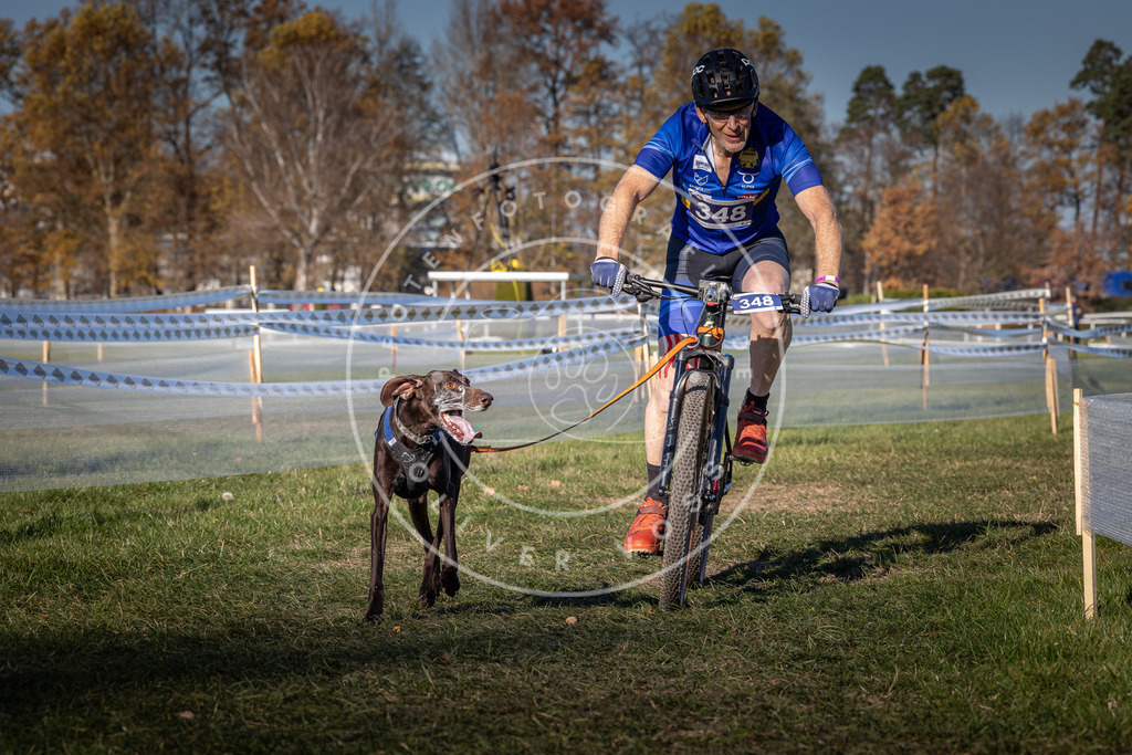 CaniXpix_0L8A6028 | Hundefotografie, Tierfotograf, Pfotenfotografie, Fotoshooting Hund, Hunde Portrait, Hundesport, Hundeportraits, Heideshooting, Hunde, Sportfotograf, Hundefotograf, Turnierhundsport, THS,  - Realisiert mit Pictrs.com