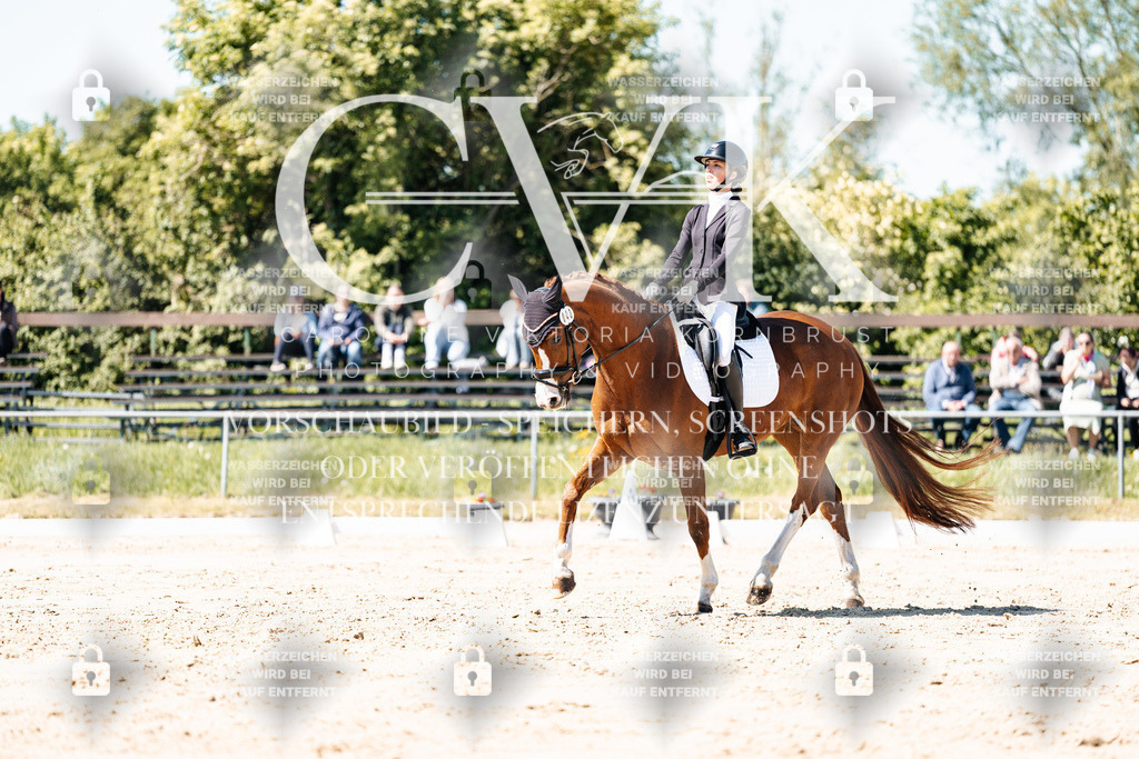 CK905272 | Turnierfotografie Pferdefotografie Trier Rheinland-Pfalz Pferdesport Reitsport Tierfotografie Sportfotografie Pferdevideo Pferdevideografie Equestrianvideography equestrianphotography  - Realisiert mit Pictrs.com