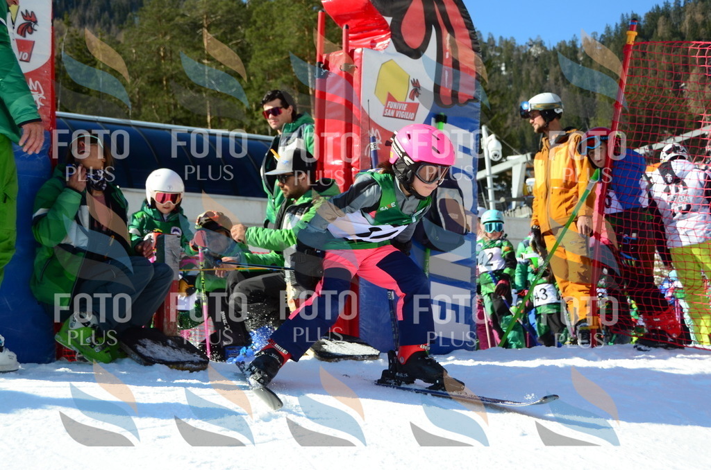 C4945 | holidayphoto