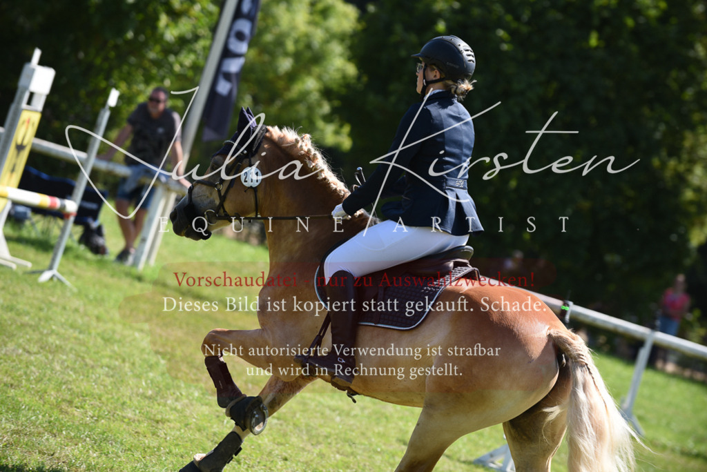 DSC_9501 | Pferde- und Turnierfotografie in Westsachsen. Pferdeportraits, Auftragszeichnungen und intuitive Kunst.