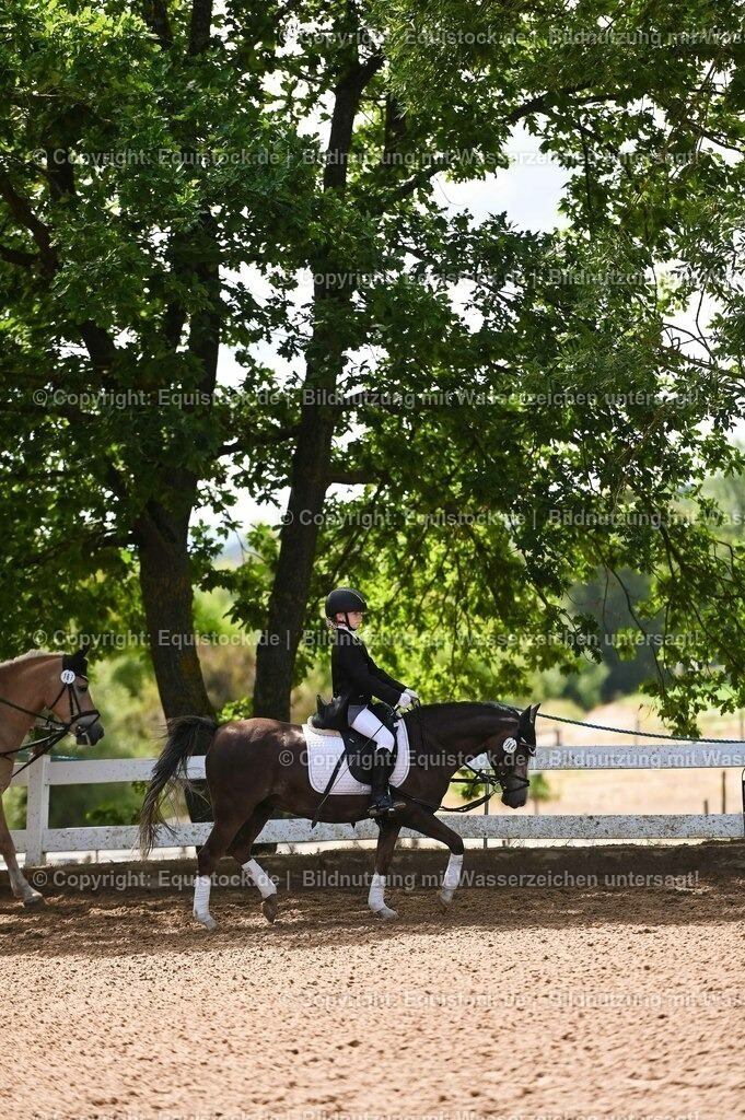 20230716_10-3_Reiter-WB Schritt - Trab - Galopp_0076 | equistock
