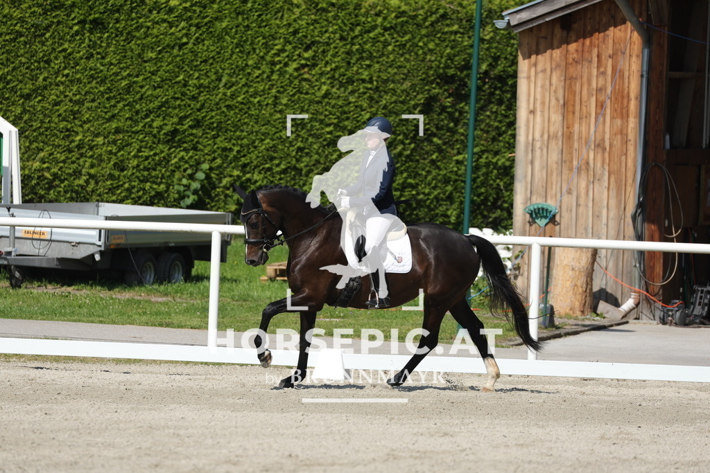 0P6A0421 | Willkommen bei Brunnmayr - Design & Fotografie – Ihrem Spezialisten für Reitturniere und Pferdeveranstaltungen in Oberösterreich, Salzburg und Bayern! Seit über 17 Jahren sind wir leidenschaftlich dabei.