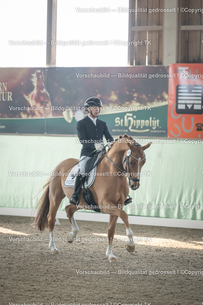 _D5A0403 | Emotionale Pferde- & People-Fotografie rund um Heidelberg, Leimen & Umgebung. Natürliche Fotos von Pferd, Mensch & Familie. Jetzt Termin sichern!