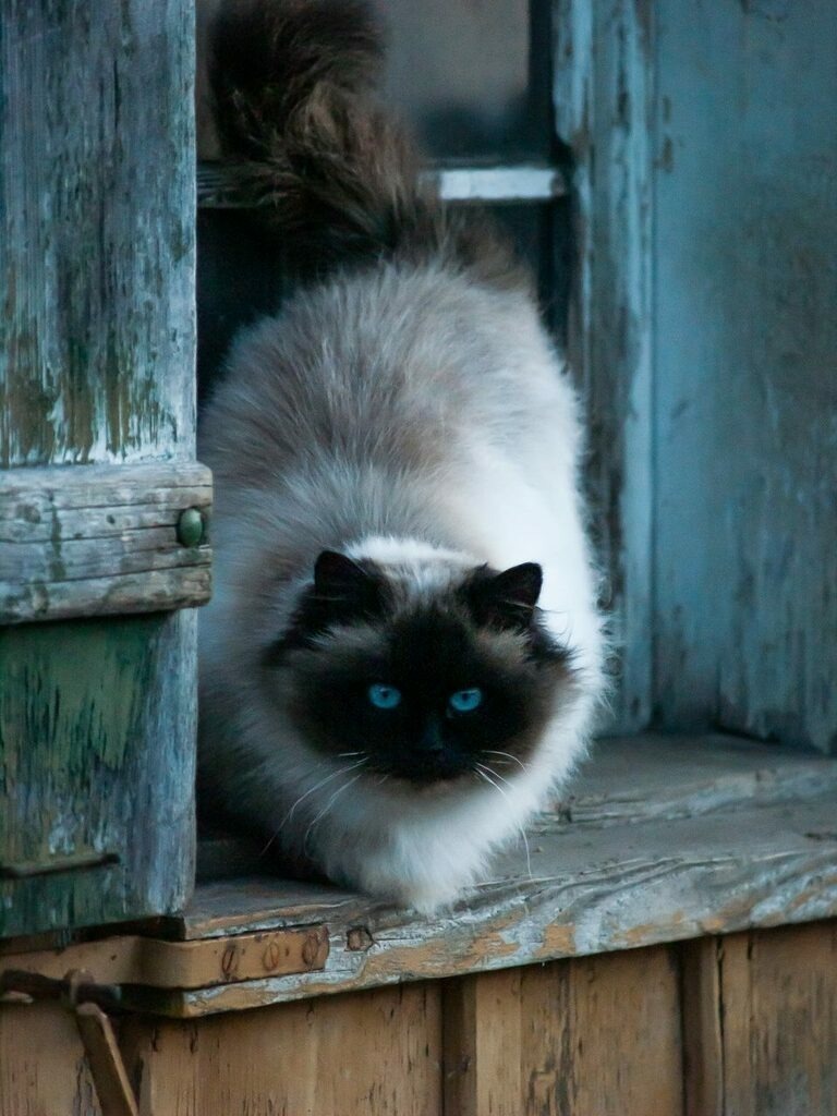 PSX_20221120_230513 | mtkfoto_ - Realisiert mit Pictrs.com