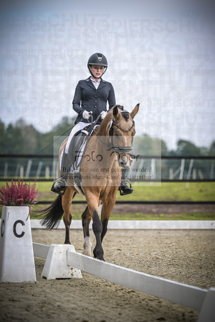DOS_B410 | Entdecke hochwertige Reitturnierfotos von Foto Oger. Professionell, emotional und authentisch – jetzt Lieblingsmomente im Shop bestellen.Deutschlandweite Turnierfotografie. - Realisiert mit Pictrs.com