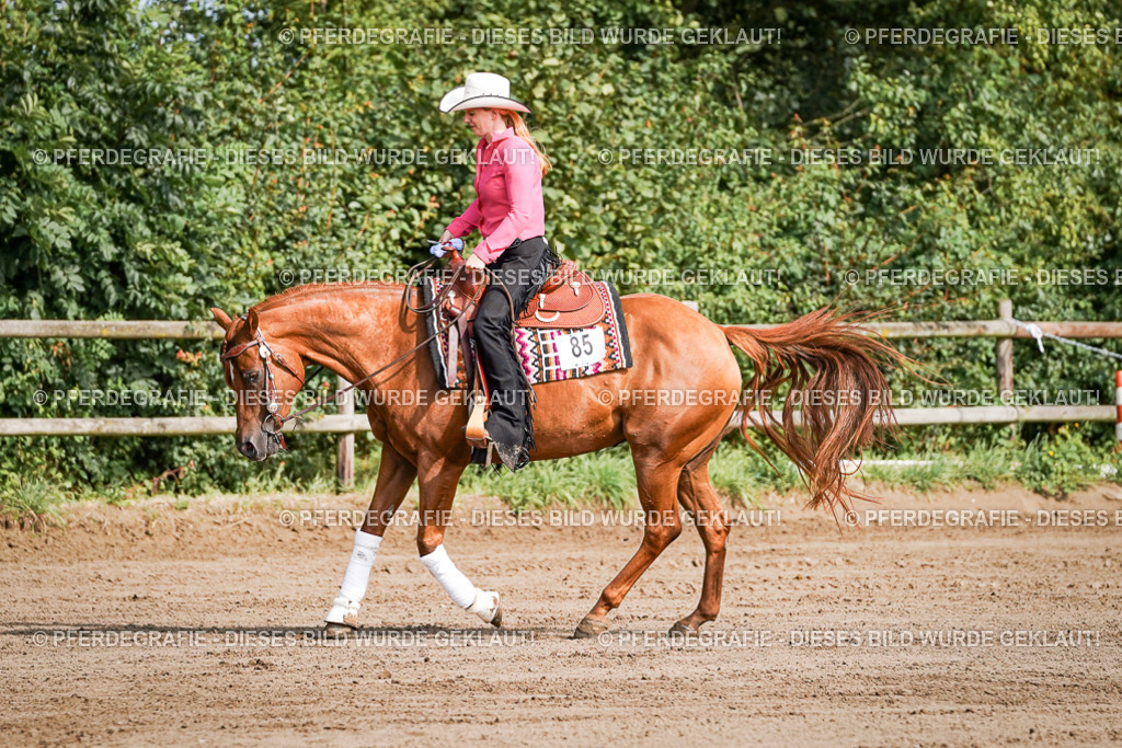 DSC09527 | Pferdegrafie