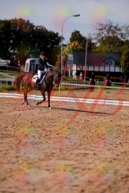 2026_10_03_Siefer-Hof_125735_Z81_46066747 | Professionelle Reitsport-, Turnier- und Eventfotografie von Robert Broda. Galerien mit ausgewählten und bearbeiteten Bildern direkt online ansehen und bestellen.