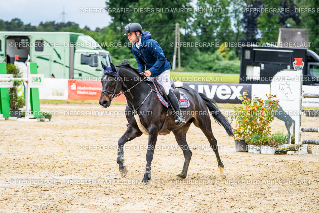 DSC04181 | Pferdegrafie