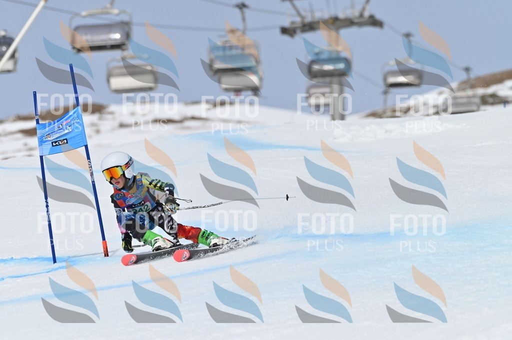 BGV_4792 | holidayphoto