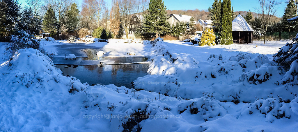 Winterliches Panoramabild vom Kurpark Brilon | Winter-Panorama des Kurparks in Brilon, Sauerland. Die Aufnahme zeigt eine idyllische, tief verschneite Parklandschaft mit einem teilweise gefrorenen Teich im Zentrum. Die umliegenden Bäume, Sträucher und eine markante Gartenhütte sind mit einer dicken Schneeschicht bedeckt. Im Hintergrund sieht man typische Wohnhäuser unter einem strahlend blauen Winterhimmel. 