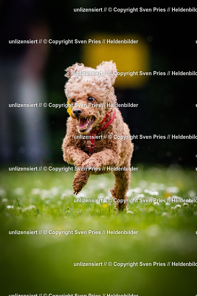 Sven Pries | 2025-05-29 - Pudelrennen KA-Durlach - Realisiert mit Pictrs.com