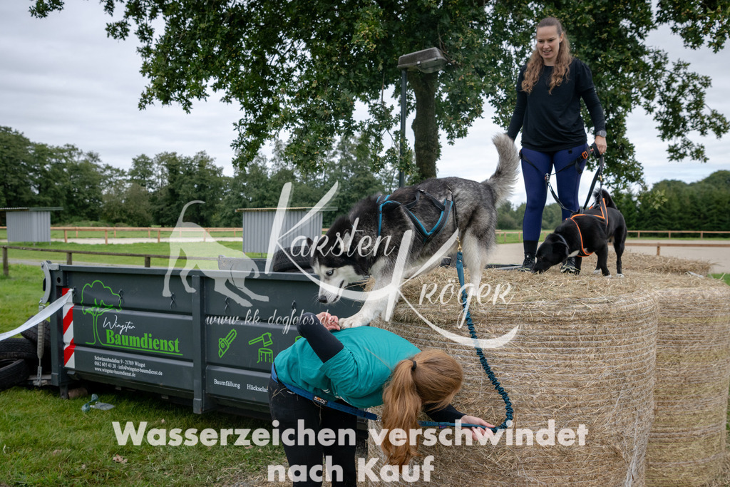 1232_ZZ91141 | kk-dogfotos