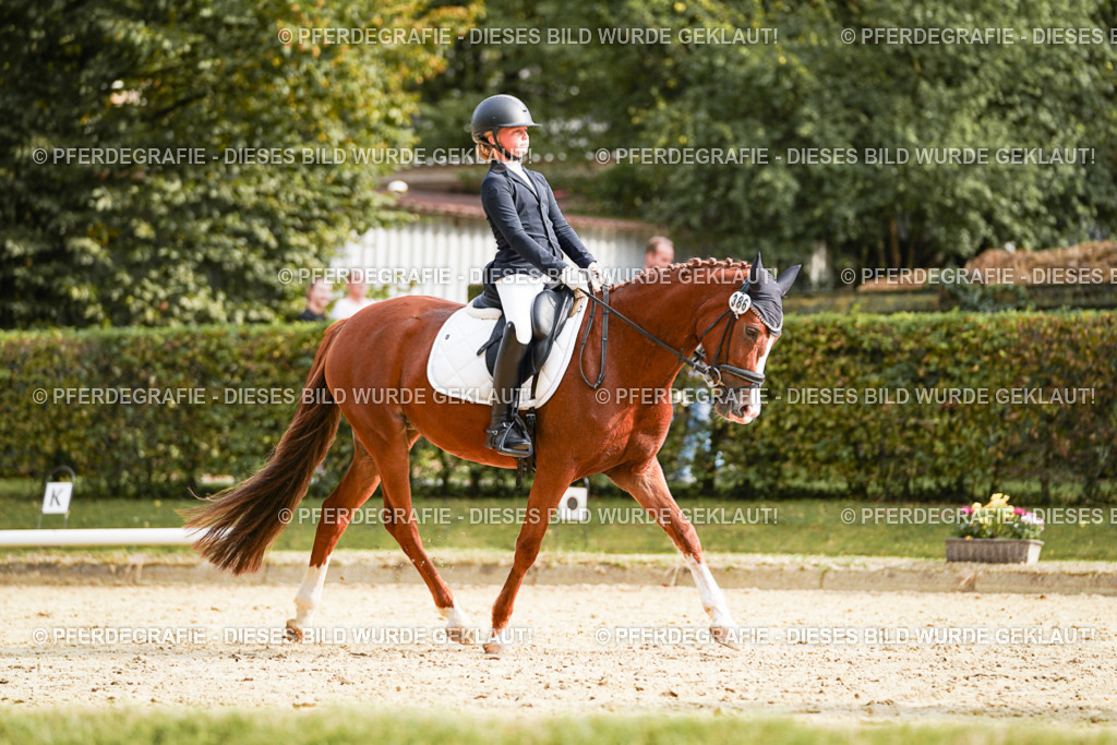 DSC05272 | Pferdegrafie