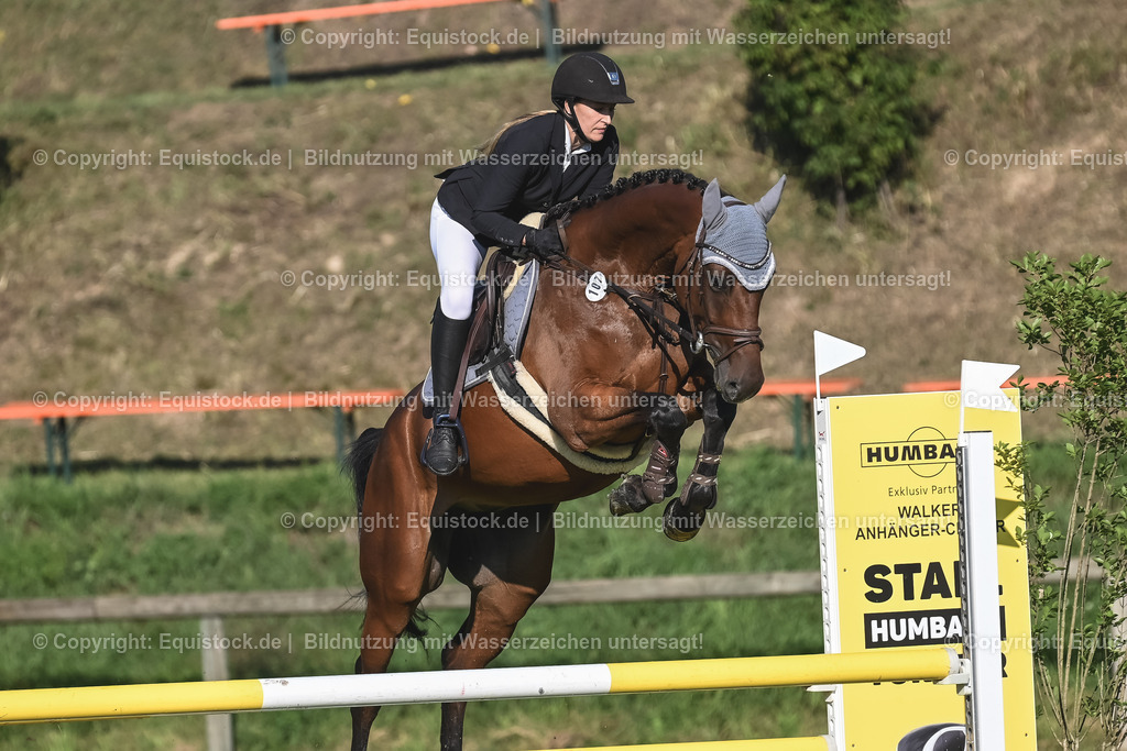 20230908_14-15_Springpferde-A_0068 | equistock